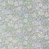 Liberty Fabrics ~ Alice W C Blue