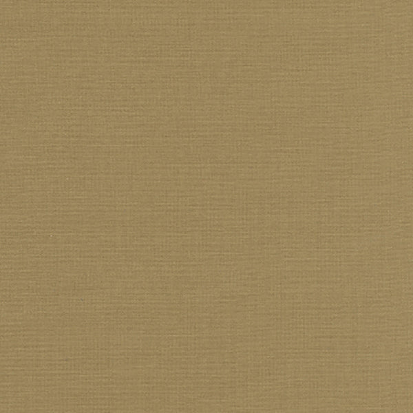 Kona® Cotton ~ Biscuit