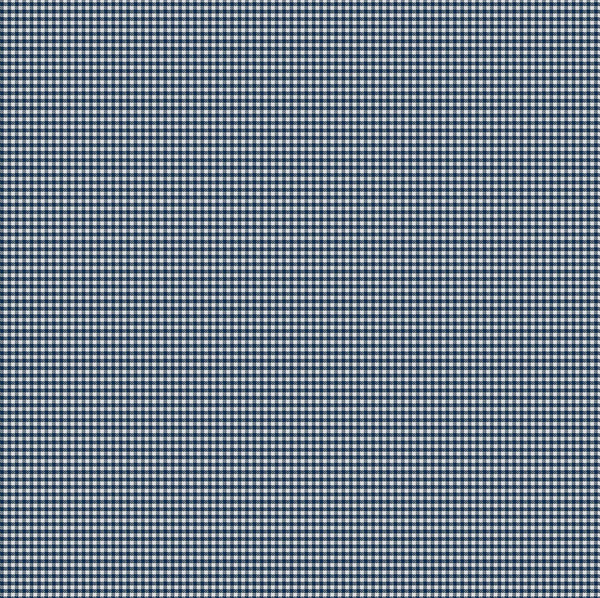 Mini Gingham ~ Navy Blue