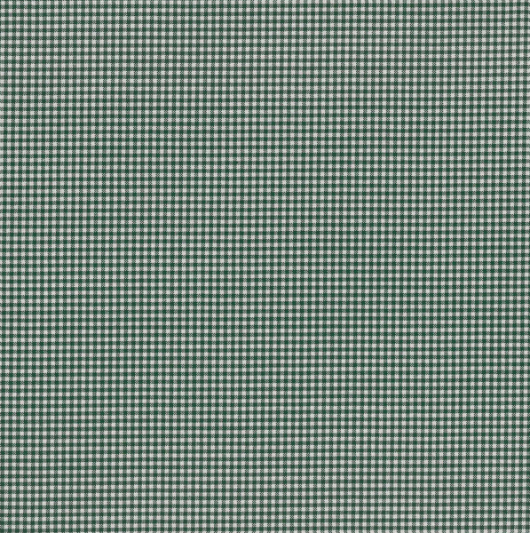Mini Gingham ~ Holly Green