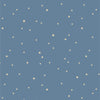 Art Gallery Fabrics ~ Starry Whispers Mist