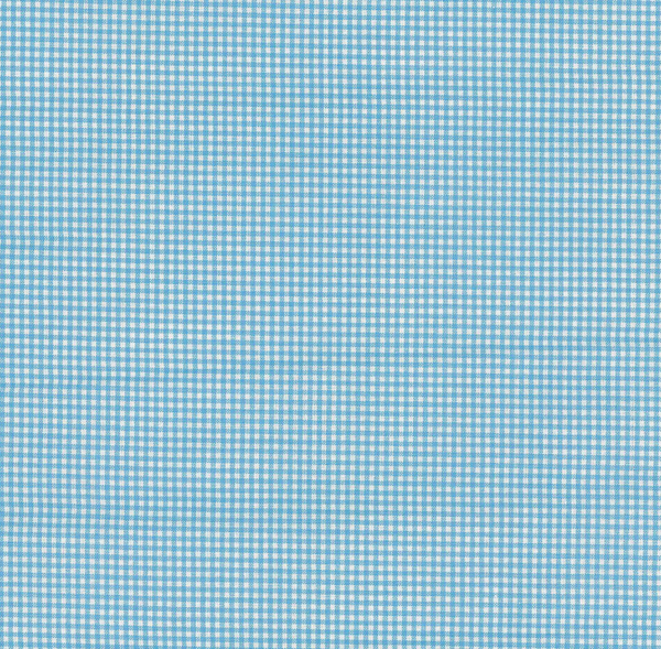 Mini Gingham ~ Pale Blue