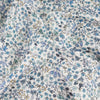 Liberty Fabrics ~ Donna Leigh X Pale Blue