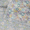 Liberty Fabrics ~ Michelle D Blue