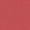 Mini Stripe ~ Cream on Apple Red